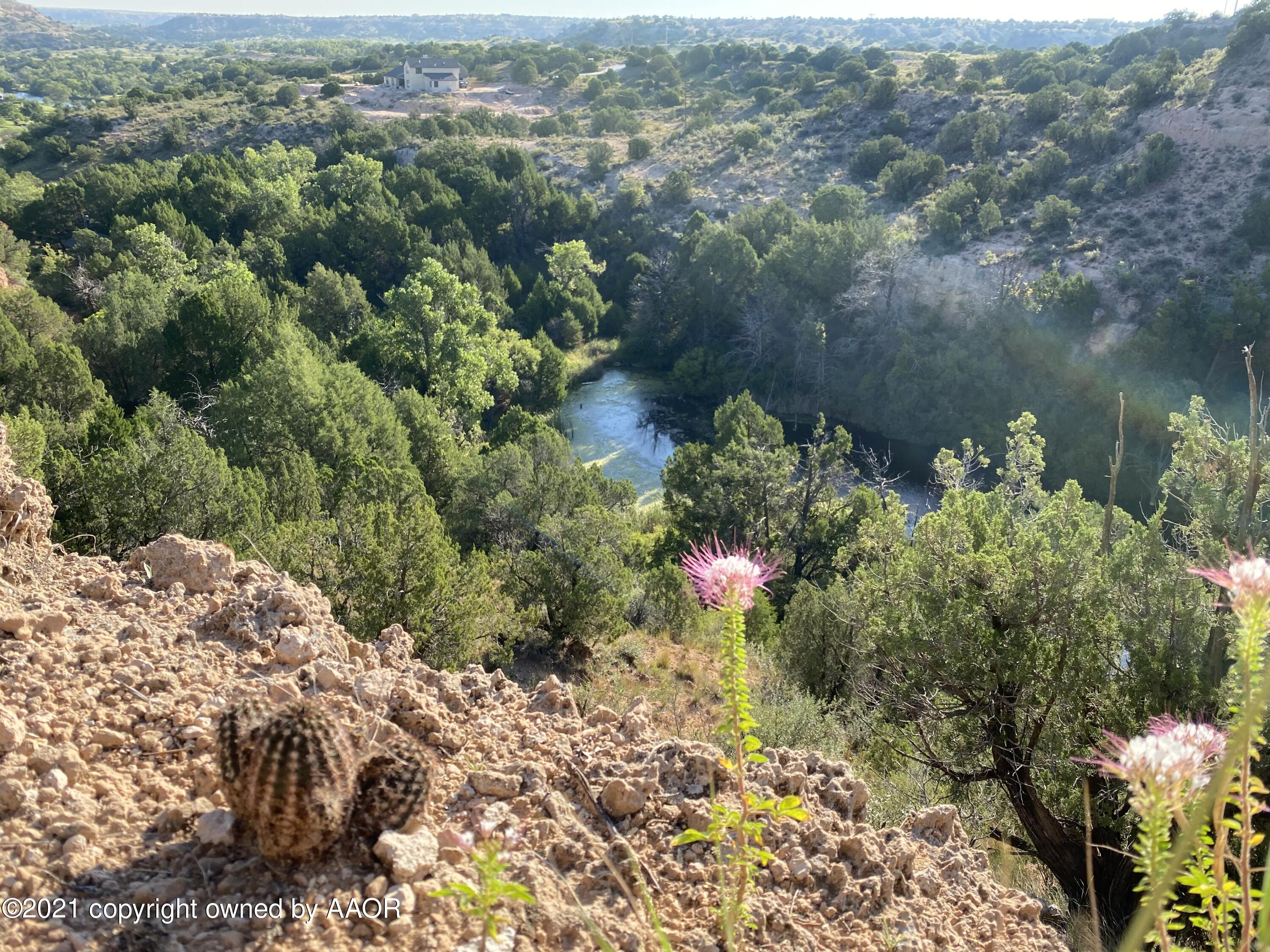 100 Ranch Parkway Canyon, TX 79015 - Photo 5 of 20 Lot Views