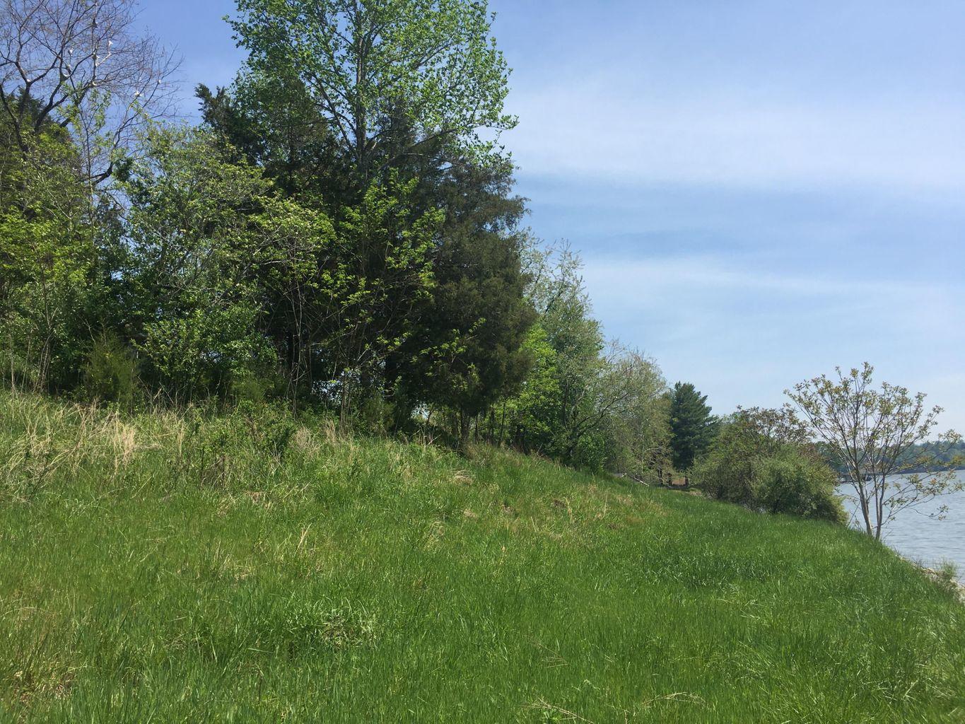 Lot 5 Carters Island Road Goodview, VA 24095 - Photo 1 of 3 View of Property