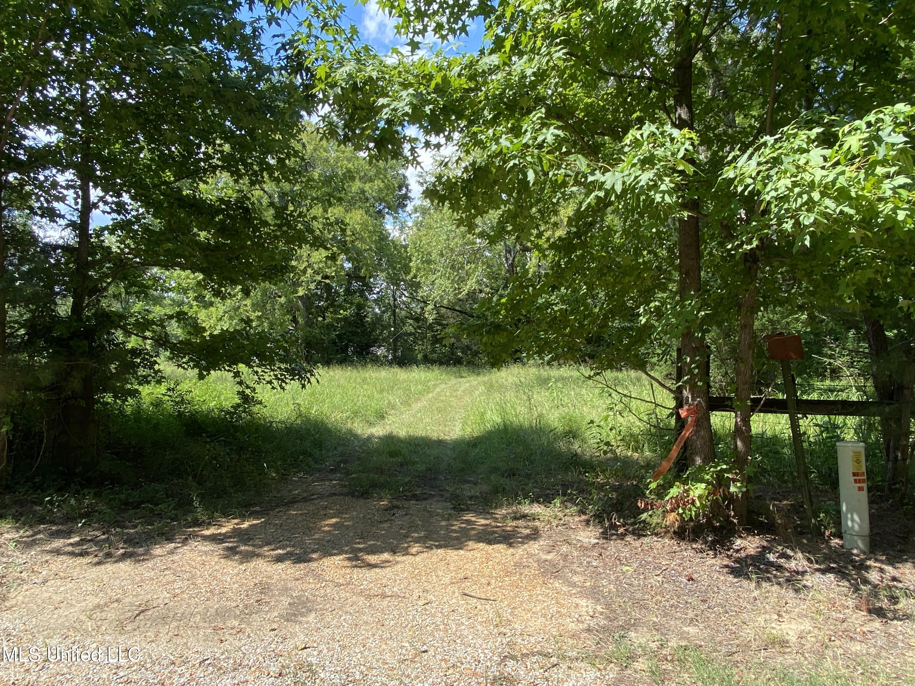 0 Skating Rink Road Red Banks, MS 38661 - Photo 1 of 29 IMG_5786