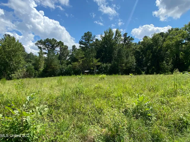 $400,000 | 0 Skating Rink Road, Red Banks, MS 38661