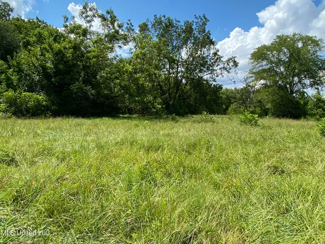 $400,000 | 0 Skating Rink Road, Red Banks, MS 38661