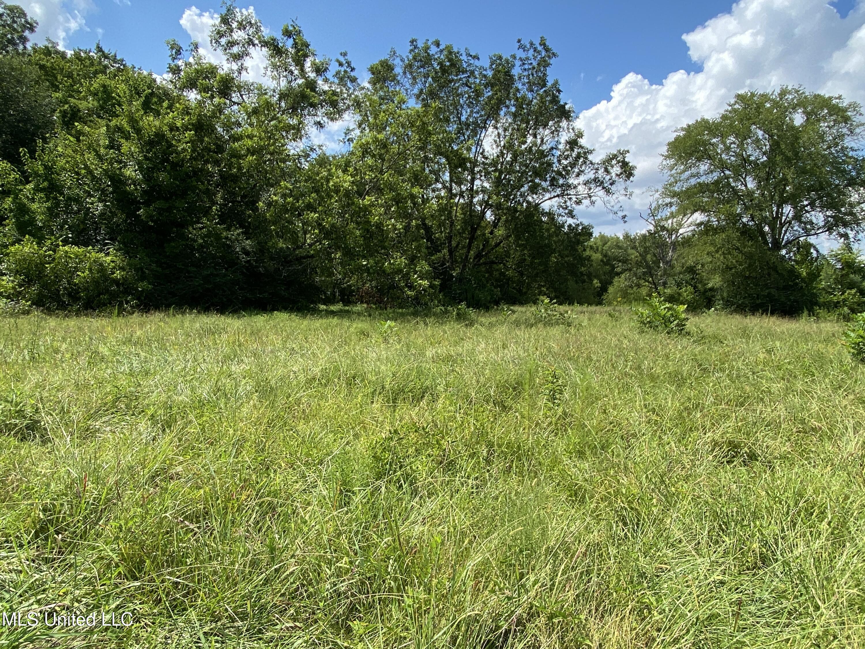 0 Skating Rink Road Red Banks, MS 38661 - Photo 18 of 29 IMG_5785