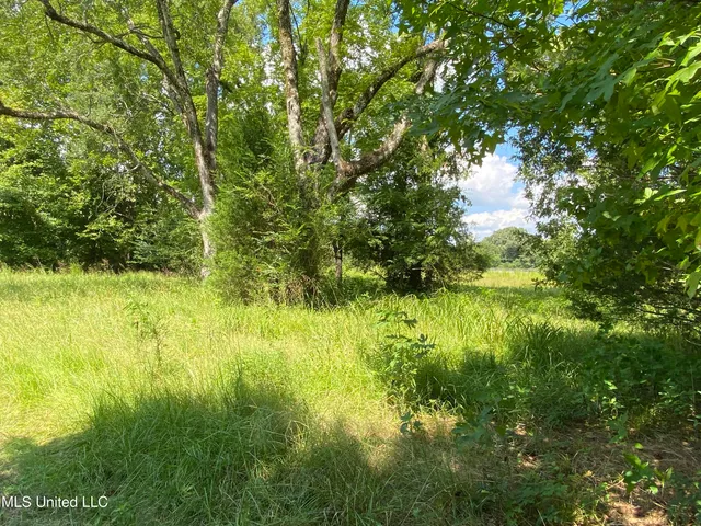 $400,000 | 0 Skating Rink Road, Red Banks, MS 38661