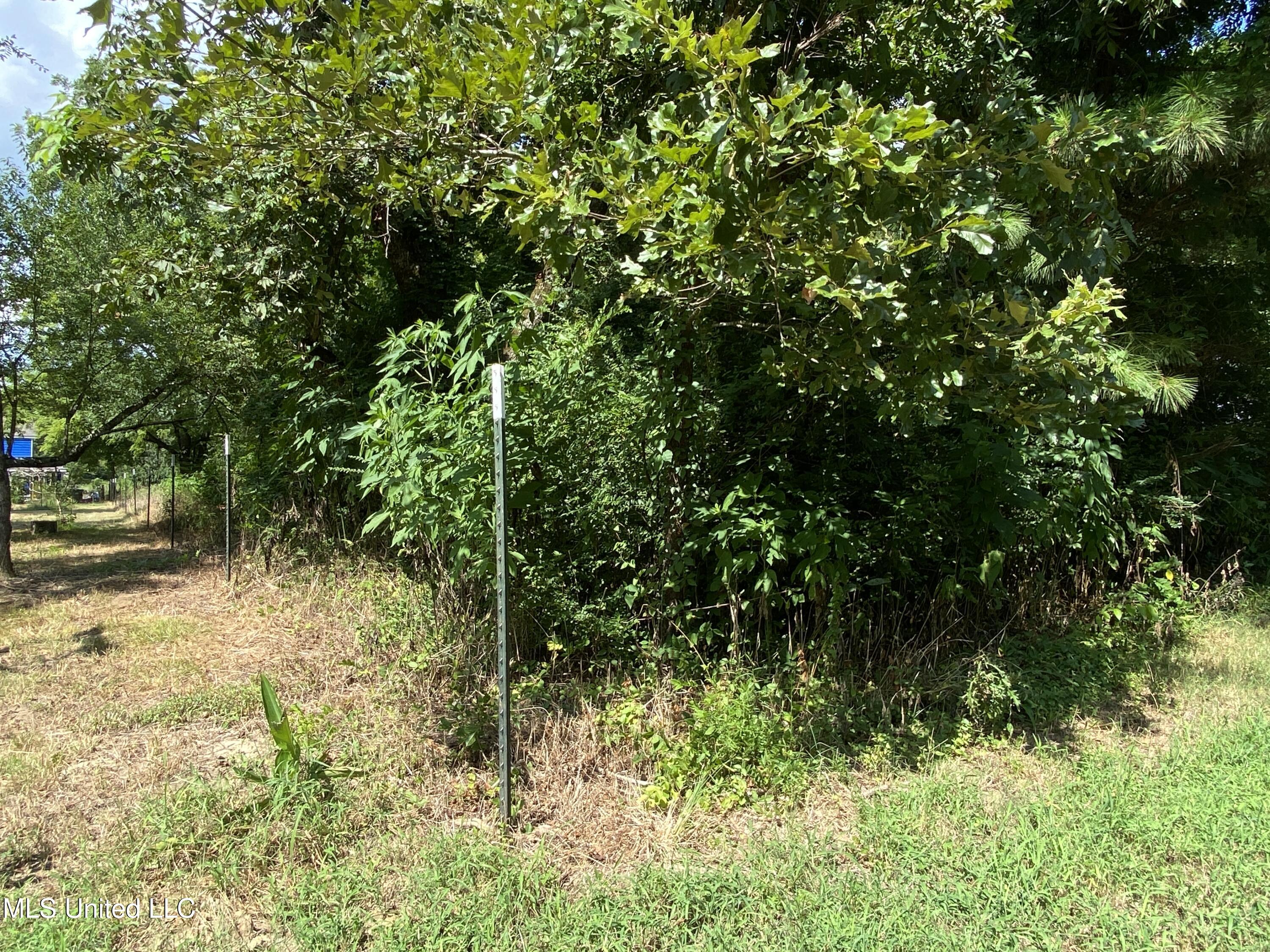 0 Skating Rink Road Red Banks, MS 38661 - Photo 20 of 29 IMG_5789