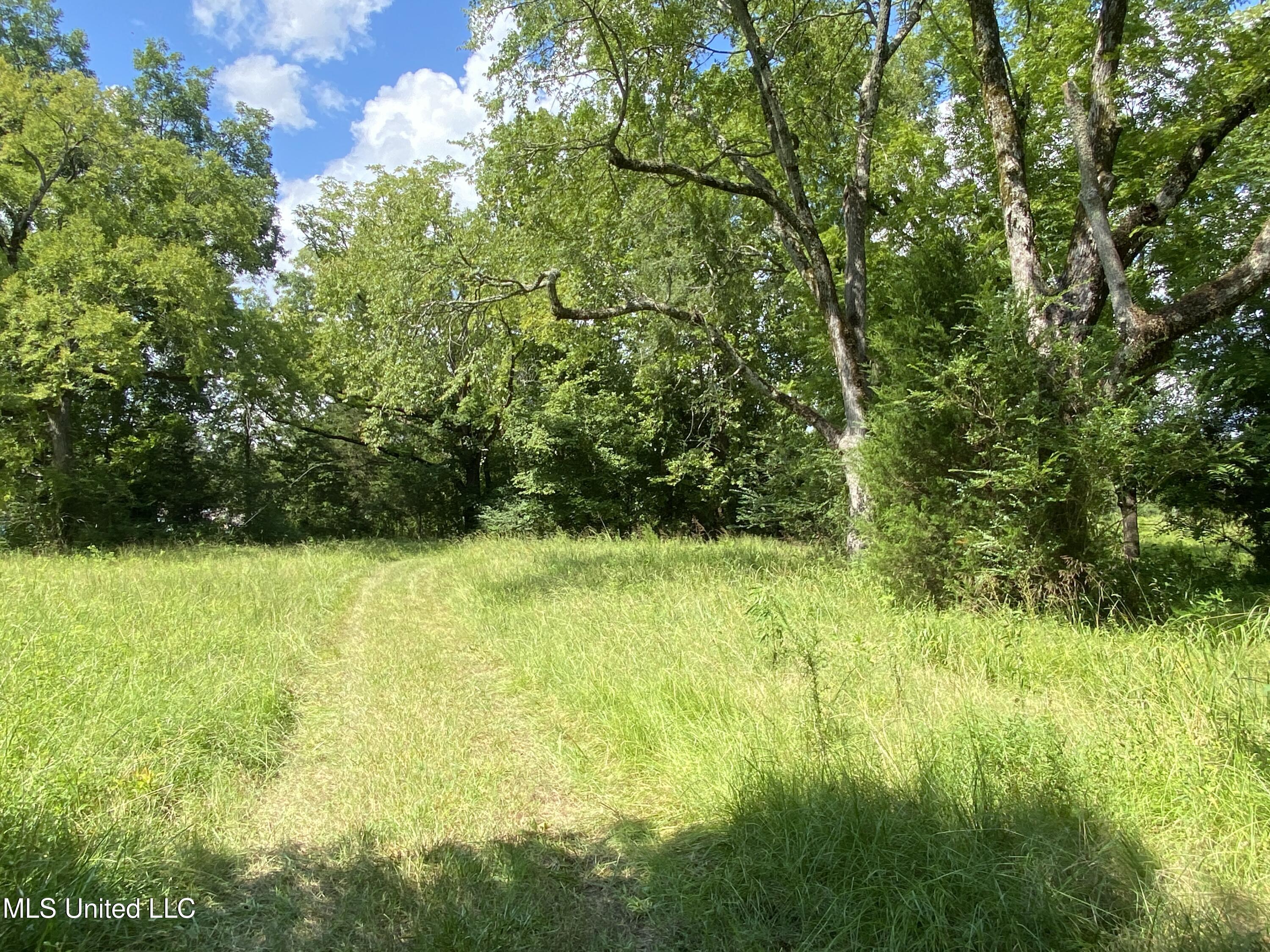 0 Skating Rink Road Red Banks, MS 38661 - Photo 2 of 29 IMG_5787