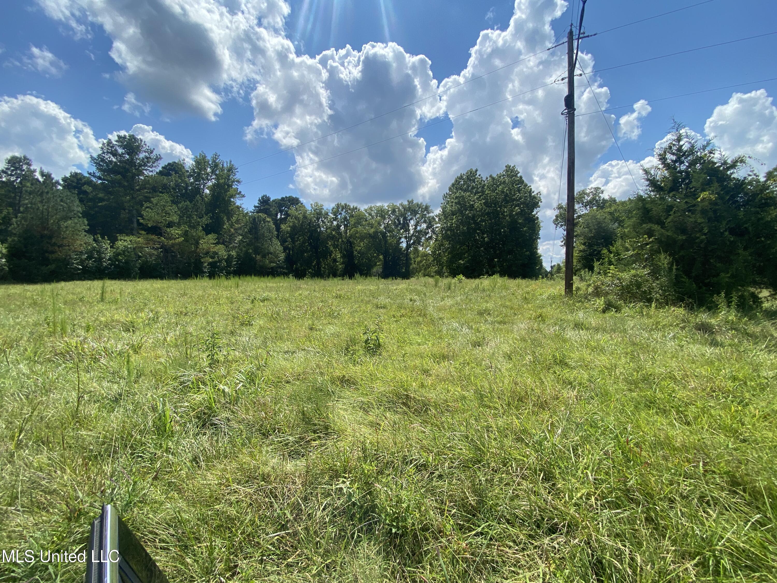 0 Skating Rink Road Red Banks, MS 38661 - Photo 21 of 29 IMG_5778