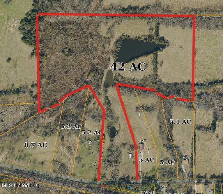 0 Skating Rink Road Red Banks, MS 38661 - Photo 22 of 29 overhead view