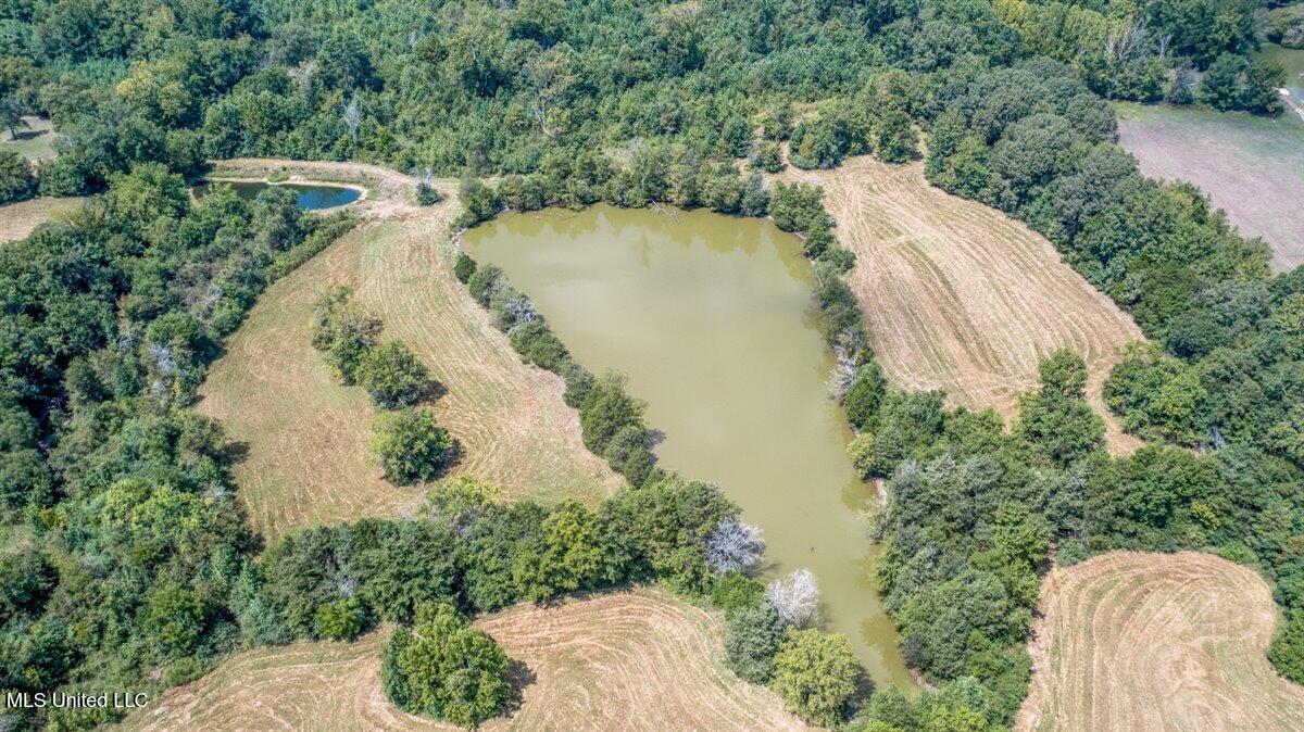 0 Skating Rink Road Red Banks, MS 38661 - Photo 24 of 29 7-DJI_0714-HDR-Edit