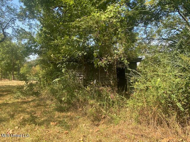0 Skating Rink Road Red Banks, MS 38661 - Photo 3 of 29 IMG_6338