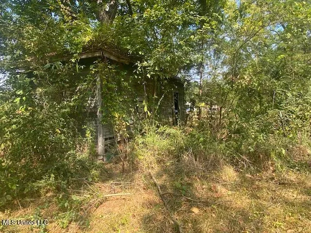 $400,000 | 0 Skating Rink Road, Red Banks, MS 38661