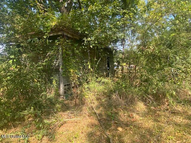 0 Skating Rink Road Red Banks, MS 38661 - Photo 4 of 29 IMG_6339