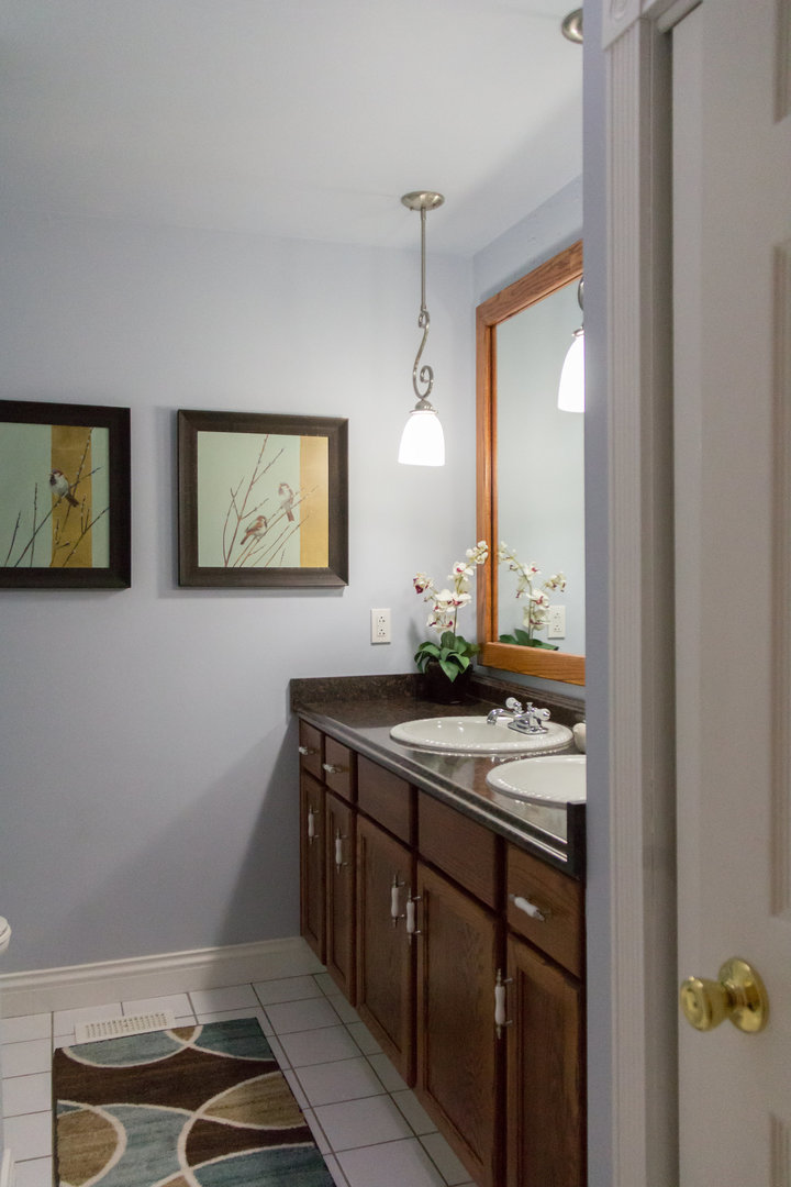 15254 Arroyo Drive Oak Forest, IL 60452 - Photo 14 of 39 a bathroom with a sink and a mirror