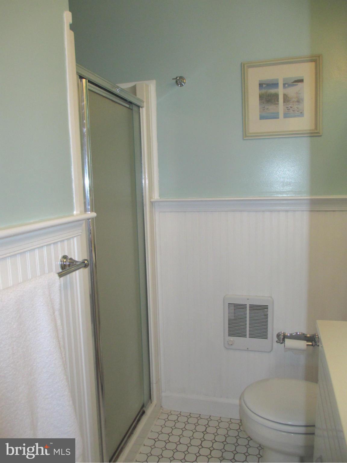 9505 Buckhorn Road Baltimore, MD 21234 - Photo 15 of 30 Master Bathroom with Shower