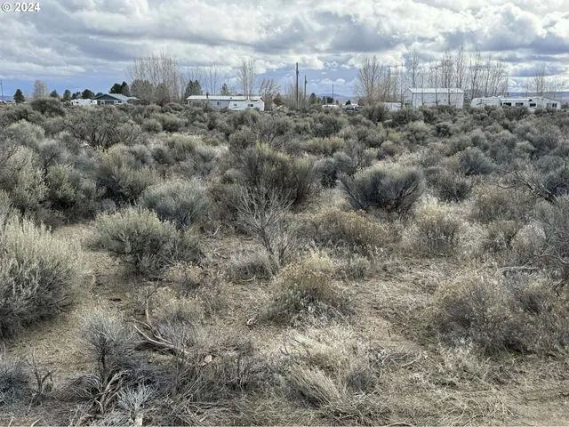 a view of a dry field with trees in the background