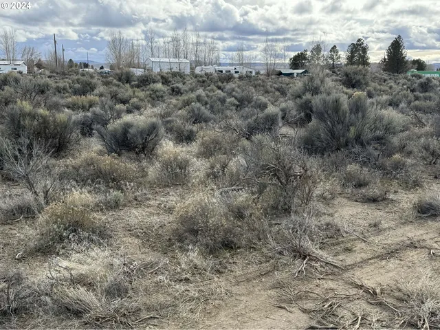 a view of a dry yard