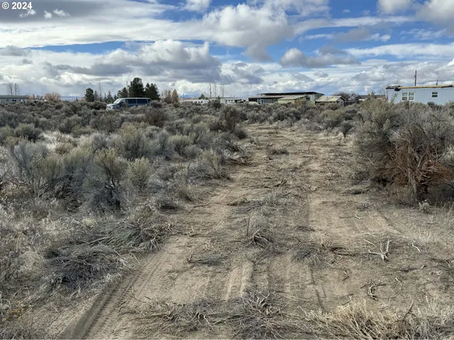 a view of a dry yard