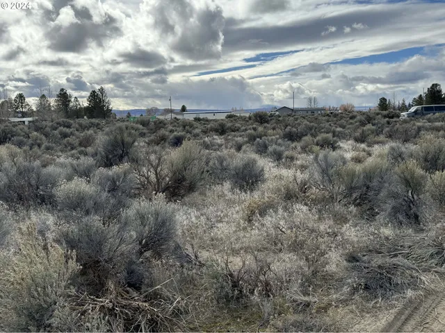 a view of a lot of trees