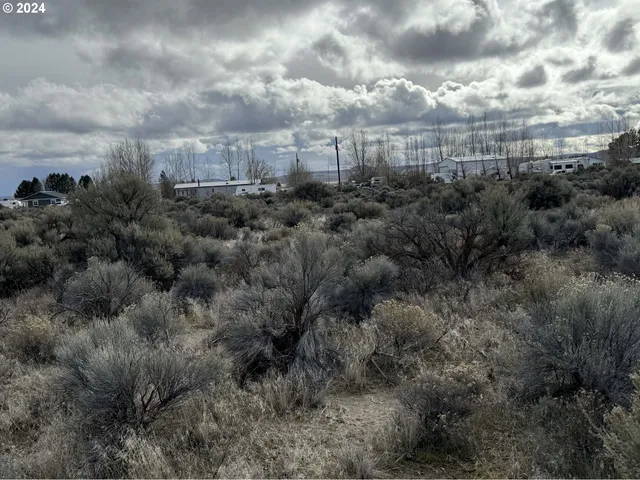 a view of a field with an ocean view