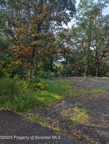 a view of backyard with green space