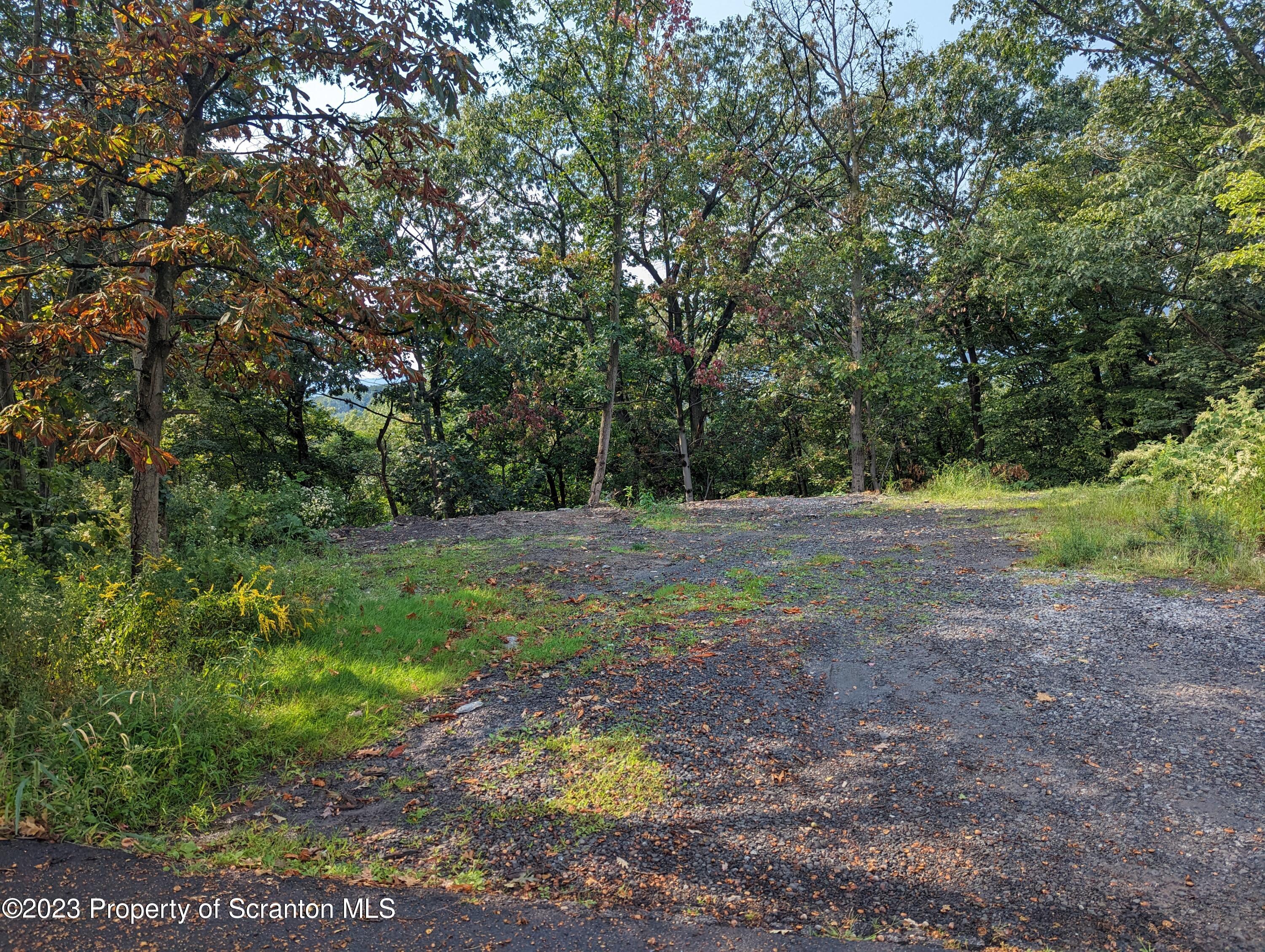 Brook Street Scranton, PA 18505 - Photo 3 of 9 a view of outdoor space with trees