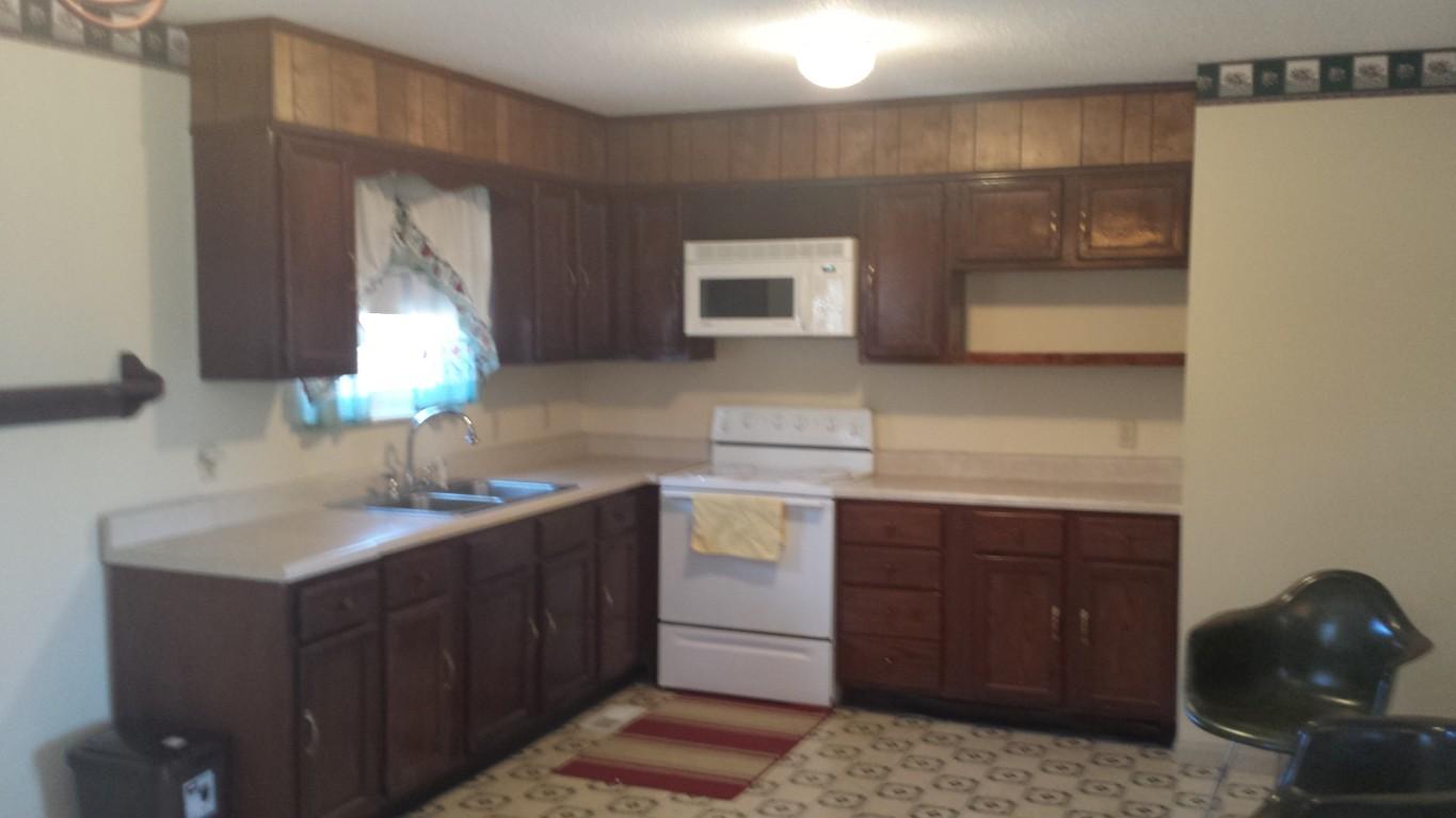 147 Rhea Drive Spring City, TN 37381 - Photo 3 of 19 3