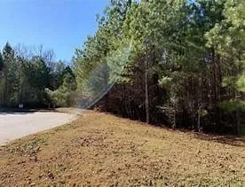 a view of a yard covered with snow in front of yard