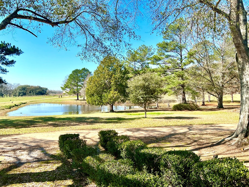 1652 Mcmillan Road Osyka, MS 39657 - Photo 13 of 18 Photo 13