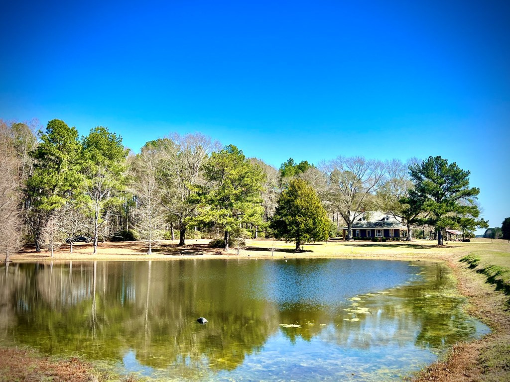 1652 Mcmillan Road Osyka, MS 39657 - Photo 2 of 18 Photo 2