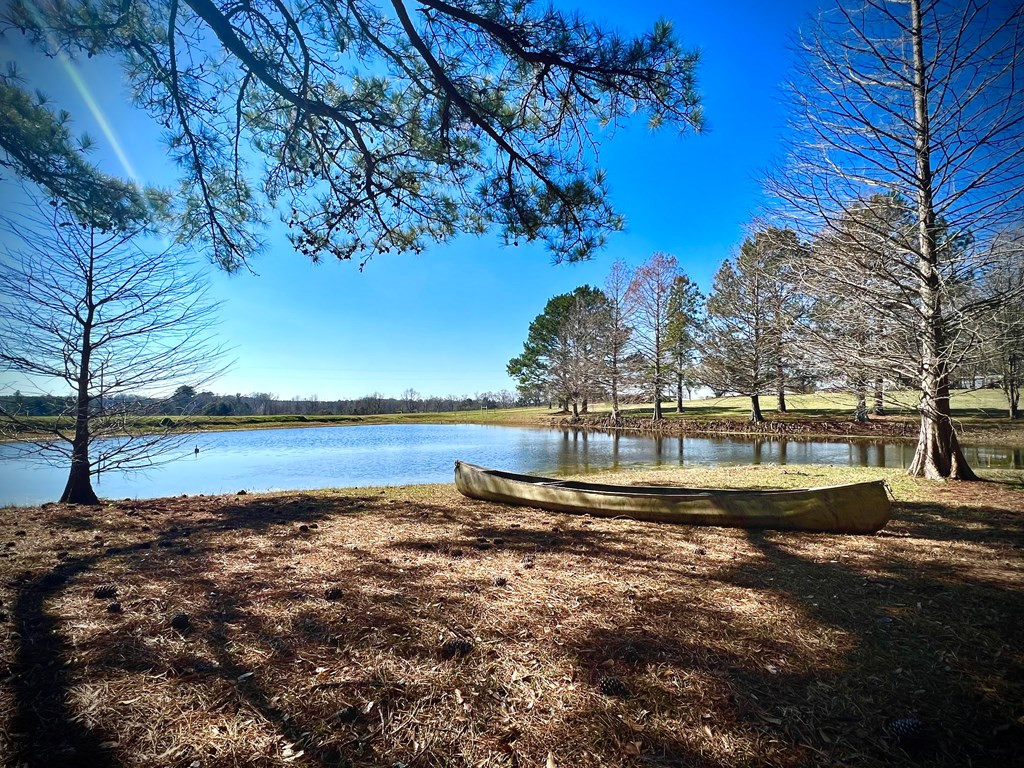 1652 Mcmillan Road Osyka, MS 39657 - Photo 5 of 18 Photo 5
