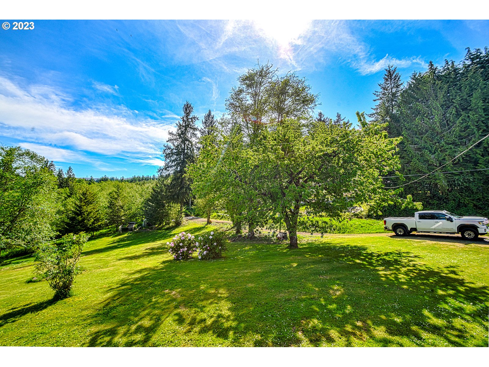 74438 Olson Road Clatskanie, OR 97016 - Photo 38 of 39 Yard