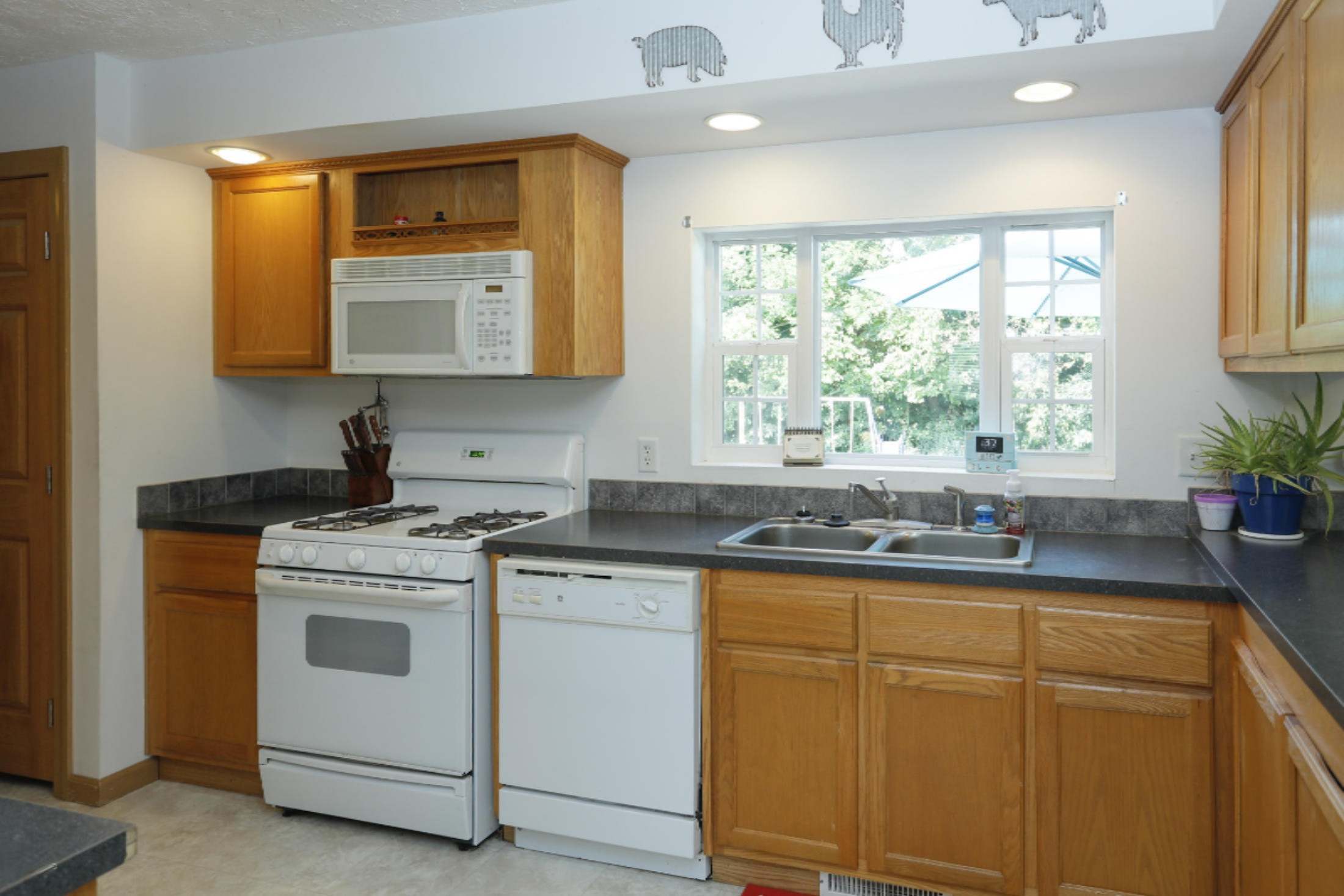 1110 Krum Avenue Three Rivers, MI 49093 - Photo 8 of 24 1110 Krum-108
