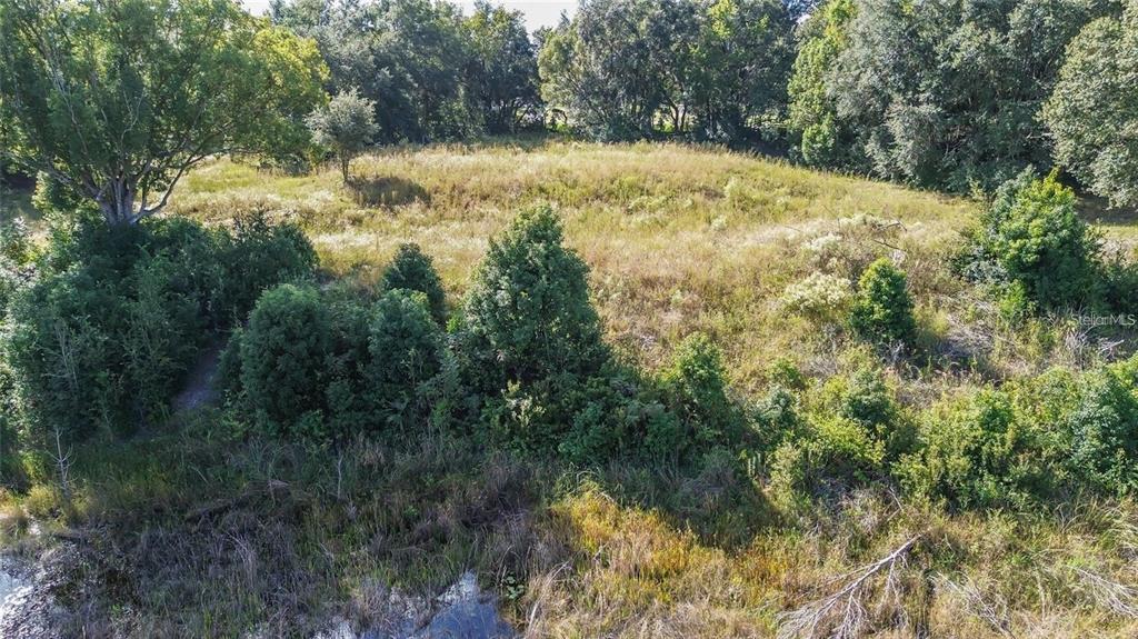 Tree Frog Lane Eustis, FL 32736 - Photo 18 of 19 Gallery Image 18