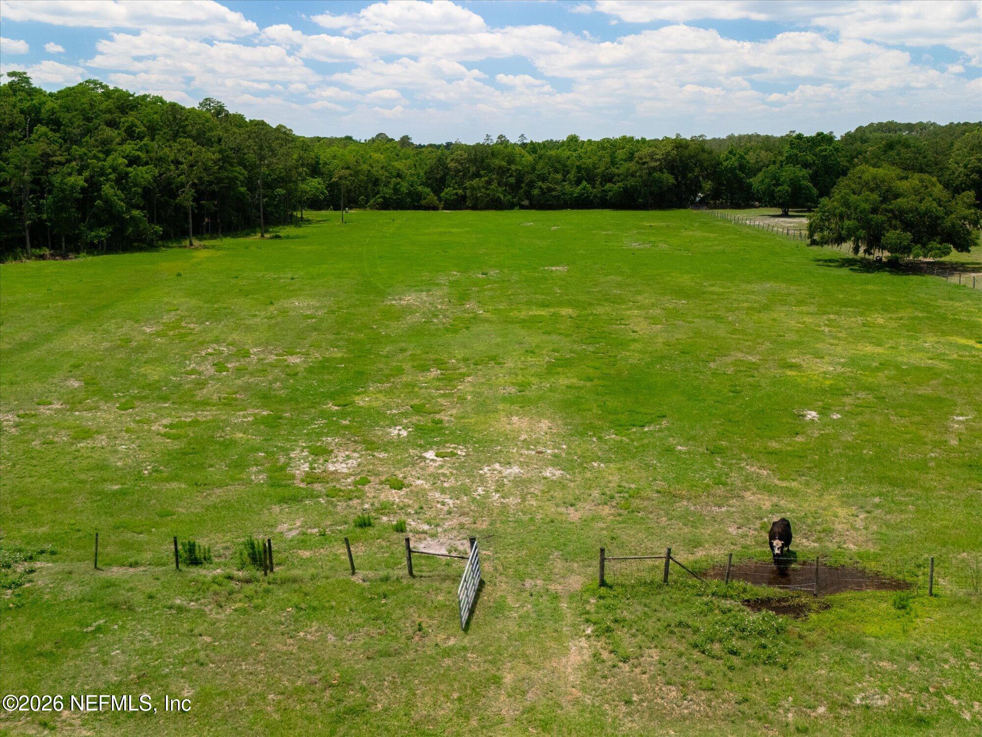 786 West River Road Palatka, FL 32177 - Photo 51 of 53 a view of a garden with a lake