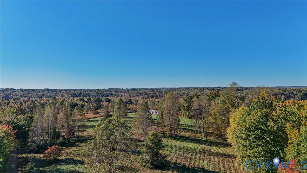 0 Allen Rosen Road Dillwyn, VA 23936 - Photo 3 of 18 Gallery Image 3