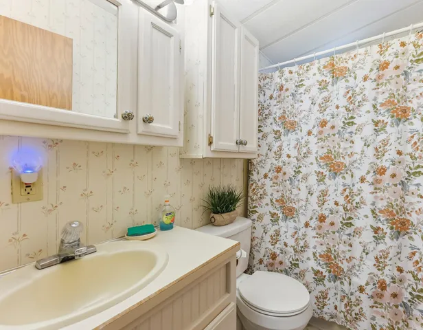 a bathroom with a sink a toilet and a shower curtain