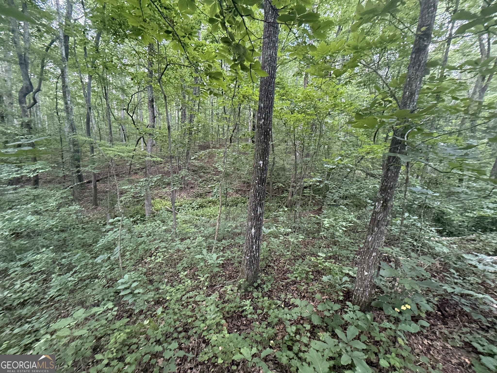 0 Cartbody Road Carrollton, GA 30116 - Photo 9 of 24