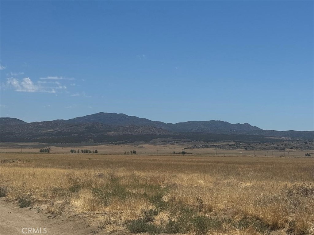 0 Hamilton Road Anza, CA 92539 - Photo 6 of 16