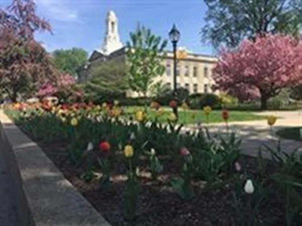 $1,850 | 18 Elm Street, Unit 4, Waltham, MA 02453