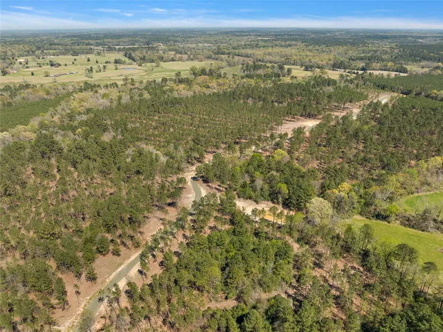 a view of city and ocean
