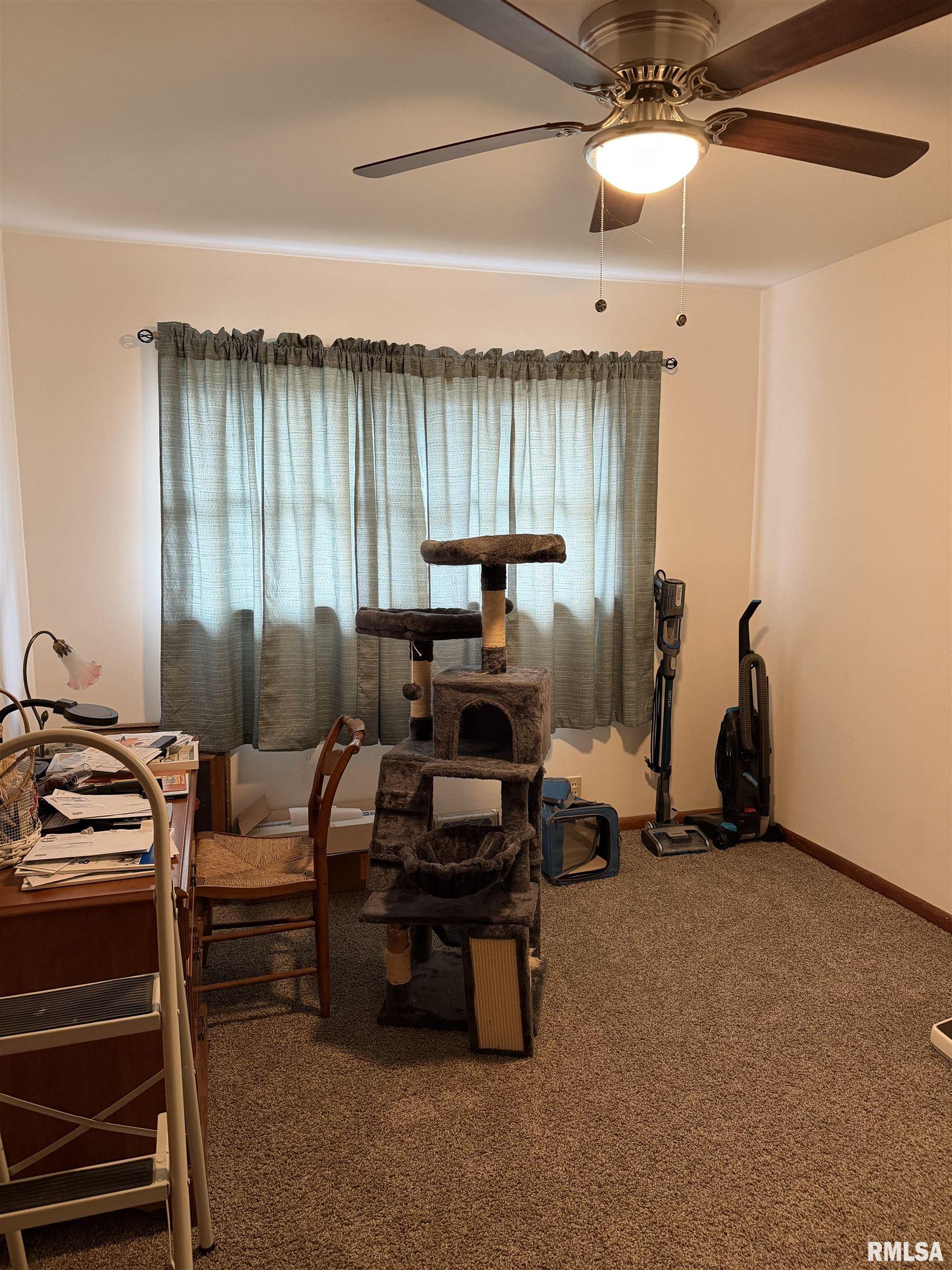 107 Carter Drive Metropolis, IL 62960 - Photo 14 of 14