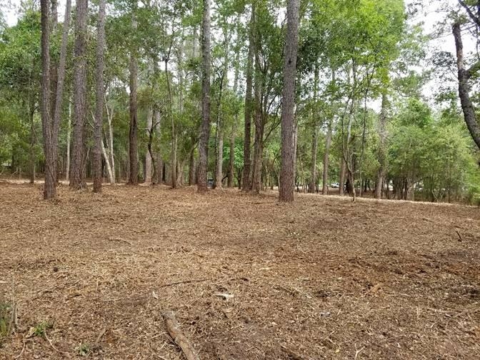 Lot 3 Bricklanding Road Shallotte, NC 28470 - Photo 2 of 7