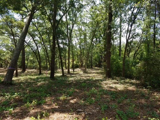 Lot 3 Bricklanding Road Shallotte, NC 28470 - Photo 3 of 7