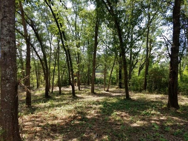 Lot 3 Bricklanding Road Shallotte, NC 28470 - Photo 4 of 7