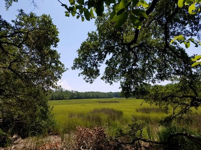 Lot 3 Bricklanding Road Shallotte, NC 28470 - Photo 5 of 7