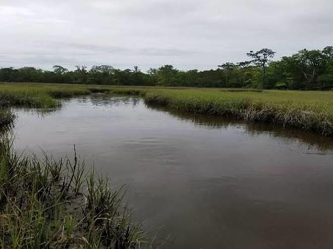 Lot 3 Bricklanding Road Shallotte, NC 28470 - Photo 6 of 7