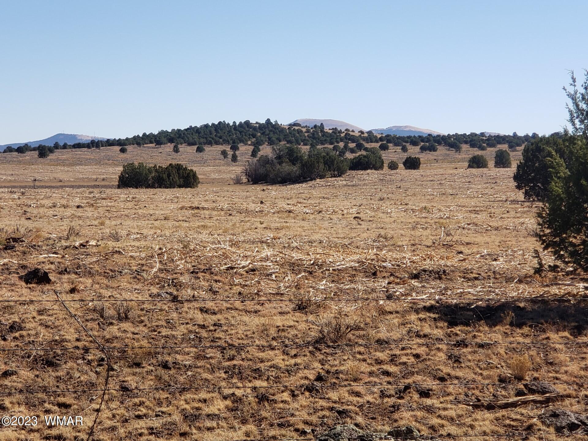 30 Co Road Vernon, AZ 85940 - Photo 3 of 5