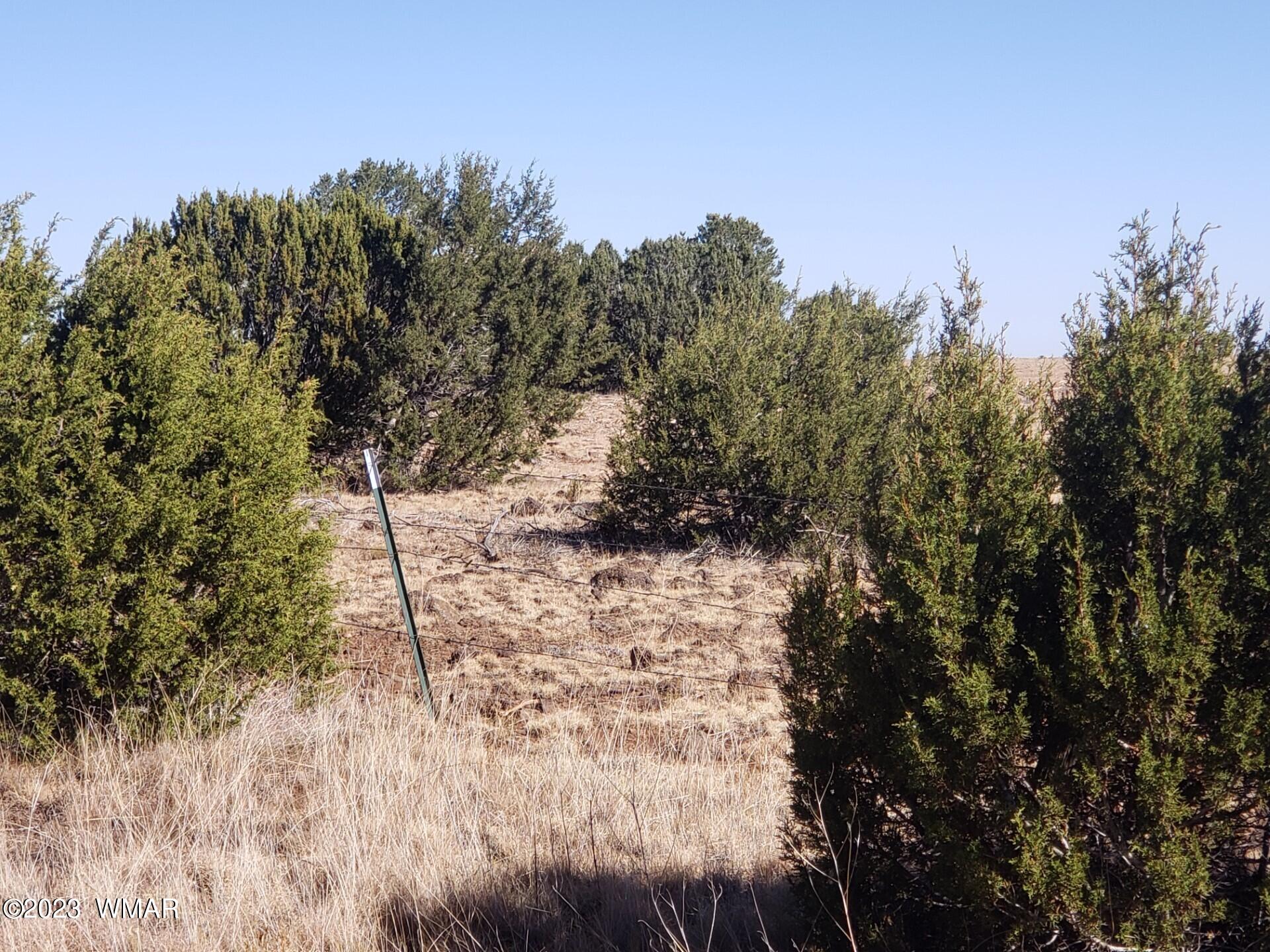 30 Co Road Vernon, AZ 85940 - Photo 4 of 5