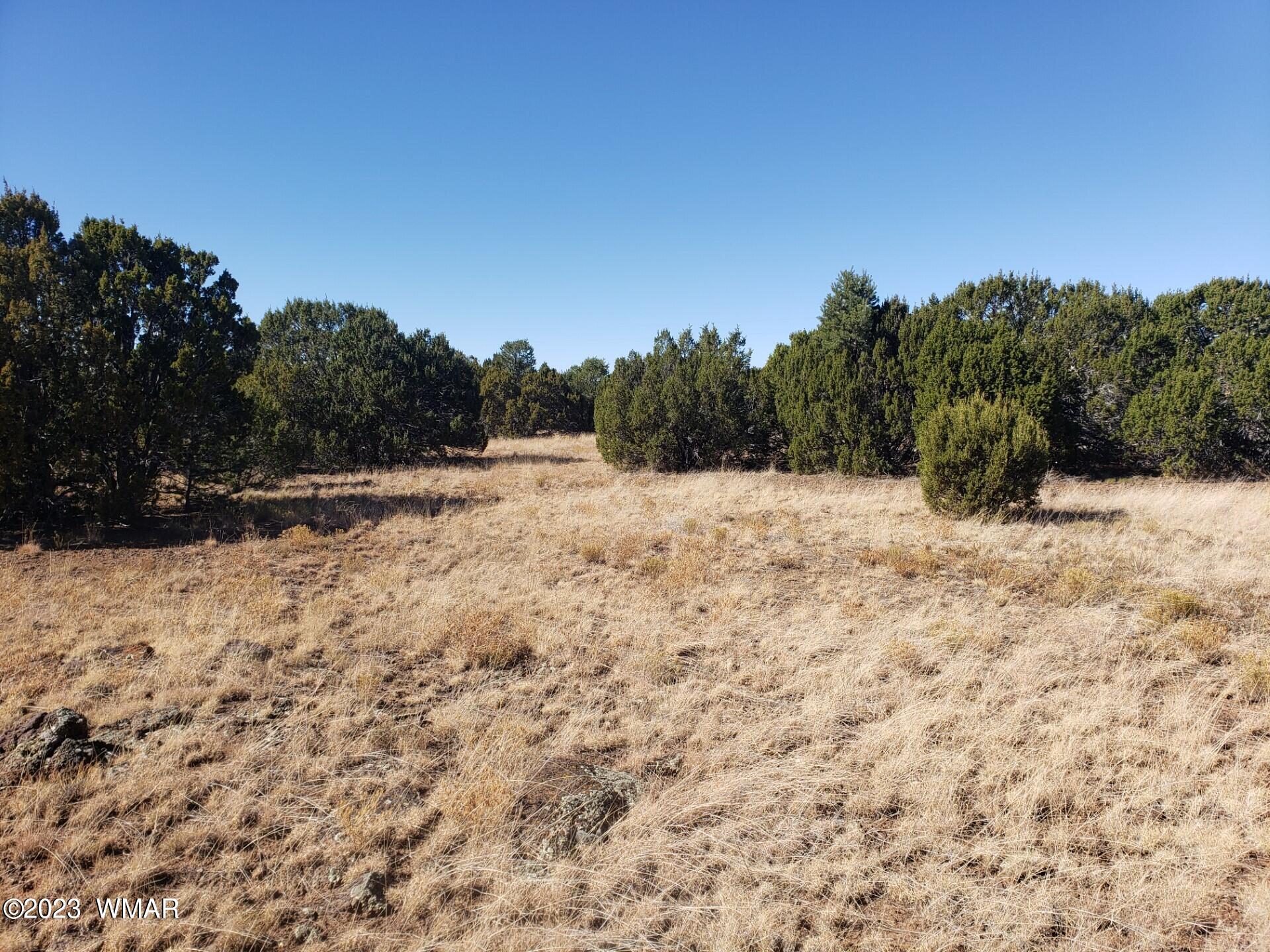30 Co Road Vernon, AZ 85940 - Photo 5 of 5