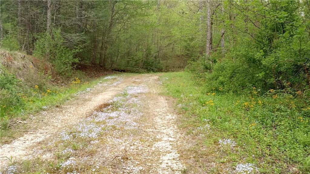 2238 Longbottom Road Hays, NC 28635 - Photo 11 of 22