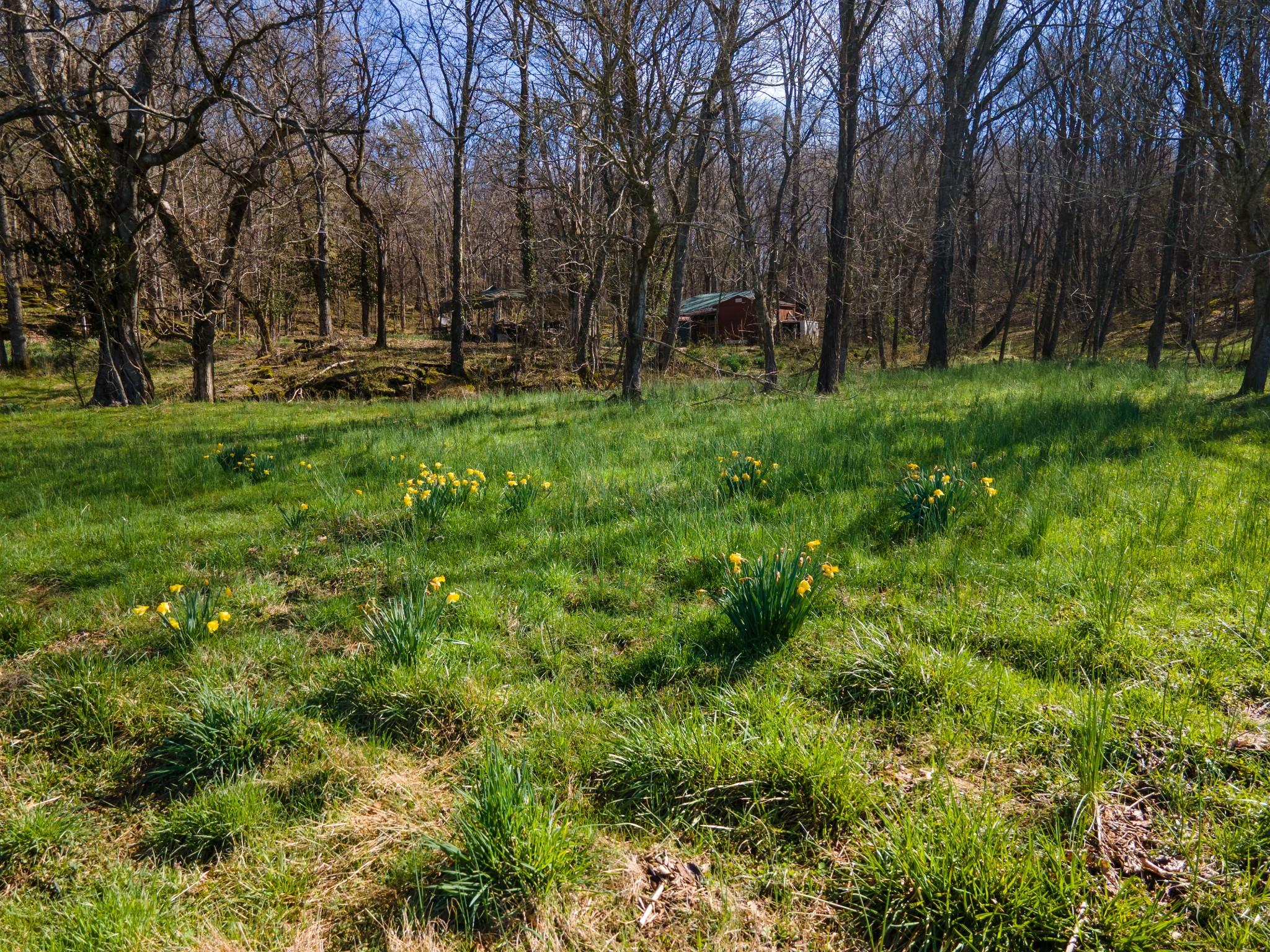 0 Empson Road White House, TN 37188 - Photo 34 of 41 Gallery Image 34